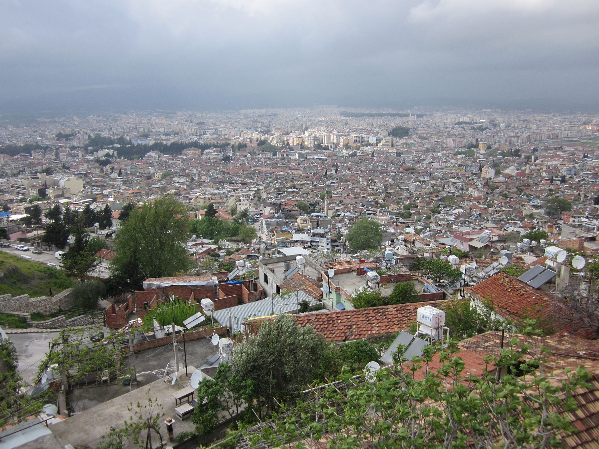 adana tercüme bürosu