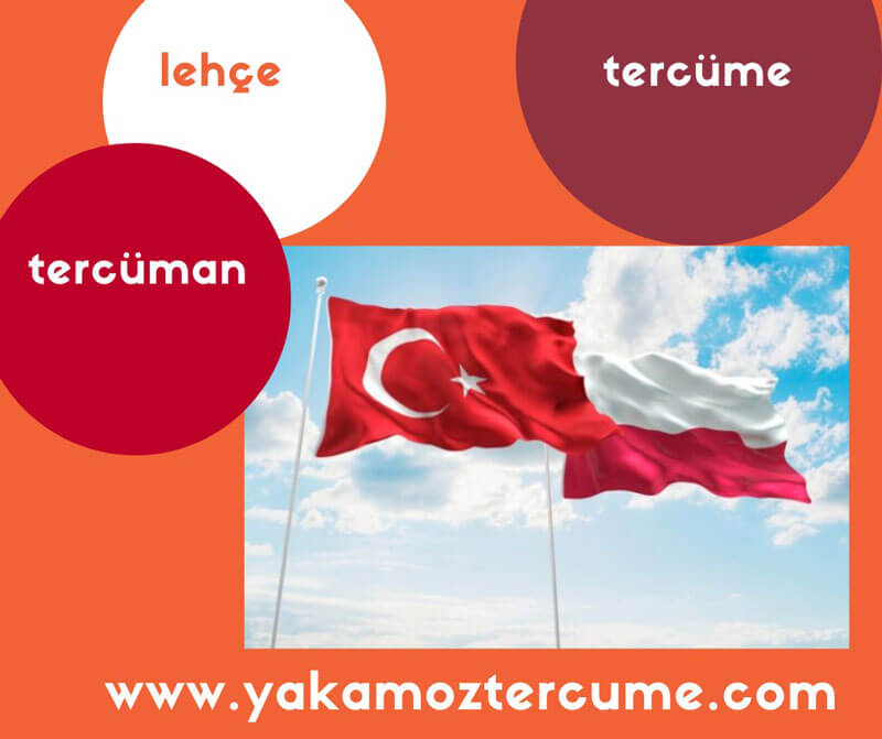 Lehçe Türkçe tercüme, türkçe lehçe tercüme tercüman