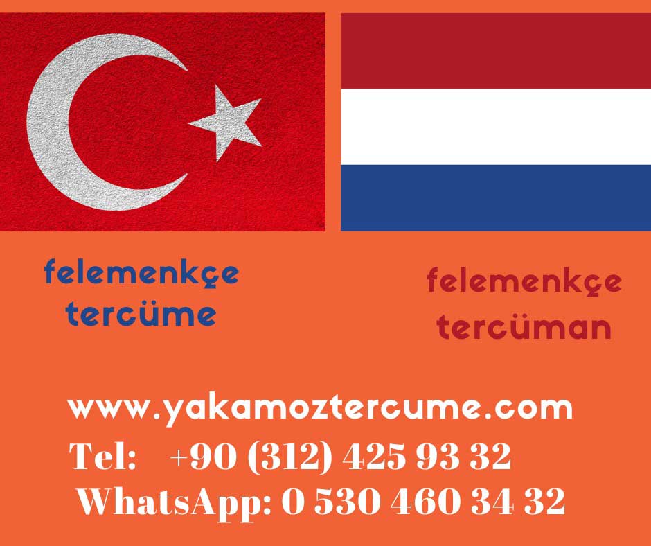 Felemenkçe Tercüme